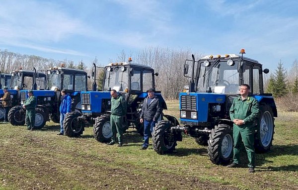 В Саратовской области план по весенним посадкам леса выполнен более чем на 98%
