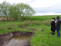 По итогам проверок госинспекторов регионального минприроды предотвращен экологический ущерб на 11 млн рублей