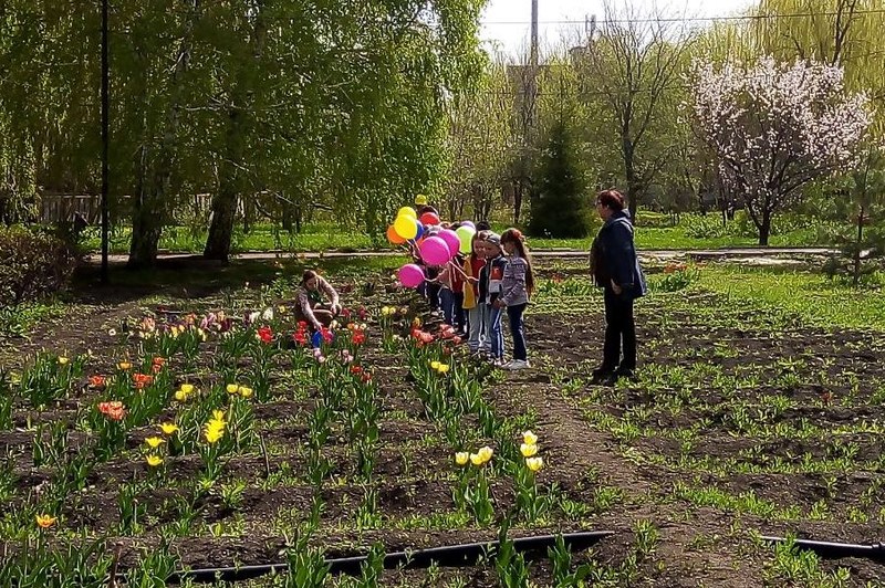 Юные саратовцы вступили в ряды «Эколят»