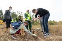 Посадки в лесах Саратовской области превысили 20-летние показатели