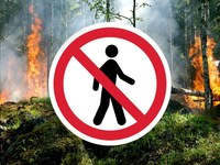 В лесах области действует ограничение пребывания граждан и особо противопожарный режим