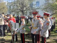 В Вольске высадили «Сад памяти» в честь летчика Виктора Талалихина