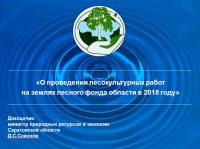 Министр природных ресурсов и экологии области Д.С.Соколов выступил на заседании Правительства области по вопросу «О проведении лесокультурных работ на землях лесного фонда области в 2018 году»