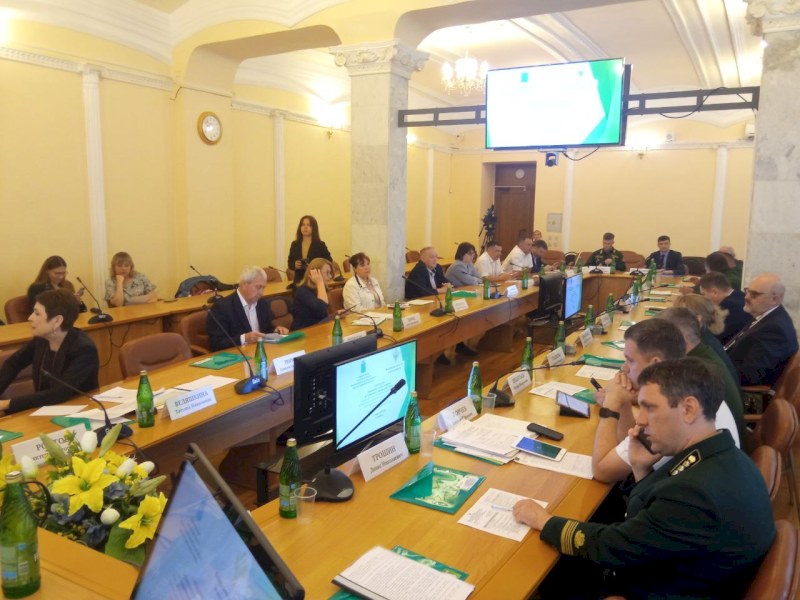 Саратовская область показывает высокие результаты по лесовосстановлению среди представителей ПФО