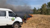 По вине неизвестных загорелся лес в Марксовском районе