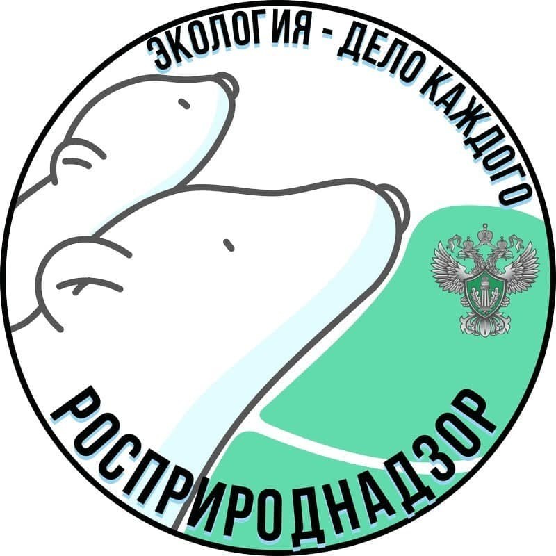 В Саратове школьников наградят за победу в конкурсе «Экология – дело каждого»