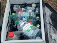 В каскаде прудов в Гагаринском районе Саратова обнаружено превышение загрязняющих веществ