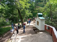 Саратовские студенты включились в марафон зеленых дел уборкой на родниках