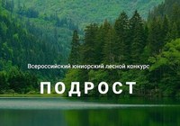 Саратовцев приглашают к участию в конкурсе школьных лесничеств 