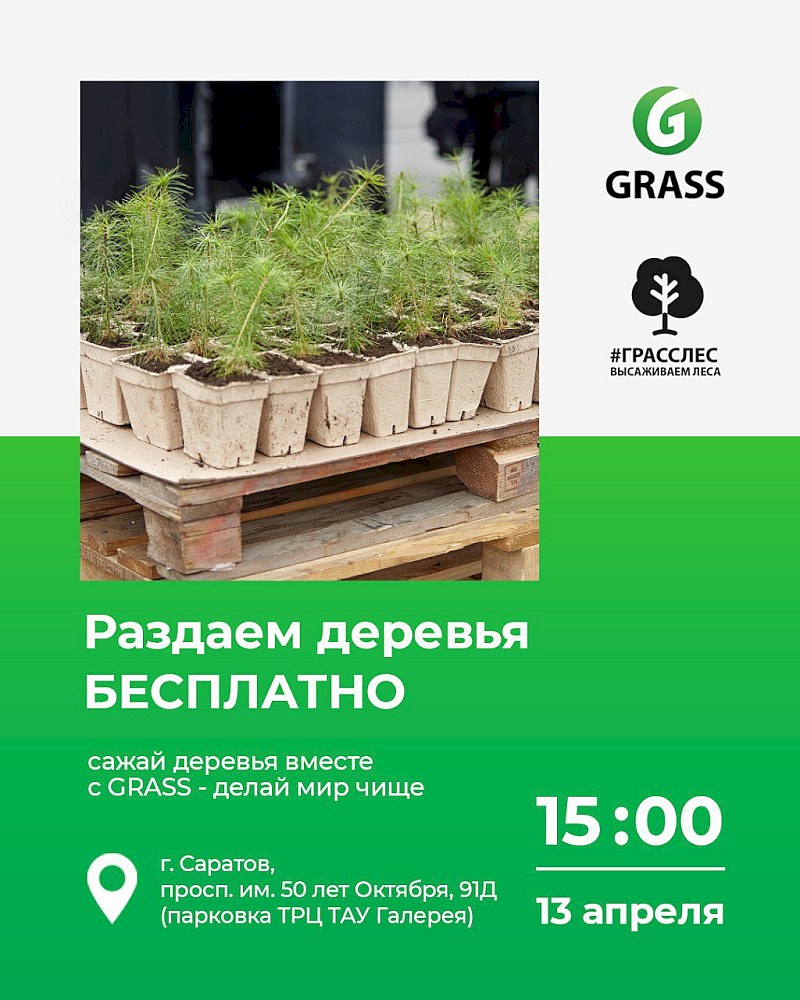 В Саратове бесплатно раздадут 5000 саженцев сосны