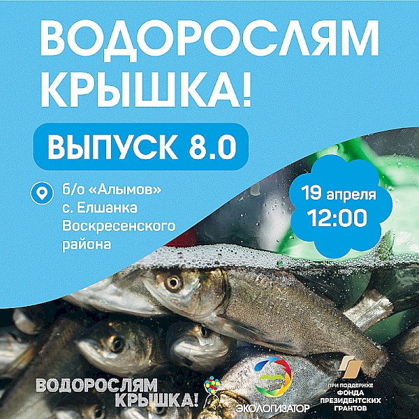 В Воскресенском районе в Волгу выпустят 35 тысяч мальков травоядных рыб