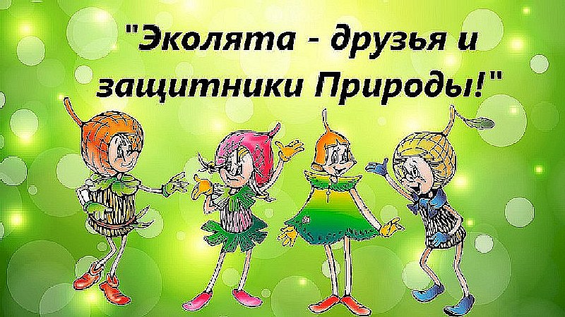 Саратовских школьников ждут на фестивале «Эколят – молодых защитников природы»