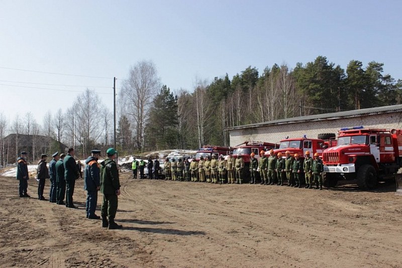 Минприроды проведет учения по ликвидации условного пожара в Вольском районе 