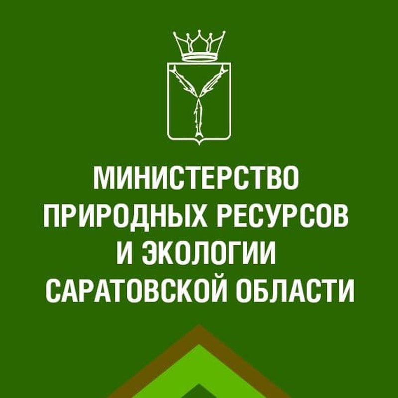 Заказать услуги в лесной отрасли можно через сайт Госуслуг