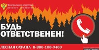 На территории лесного фонда до 30 сентября действует особый противопожарный режим
