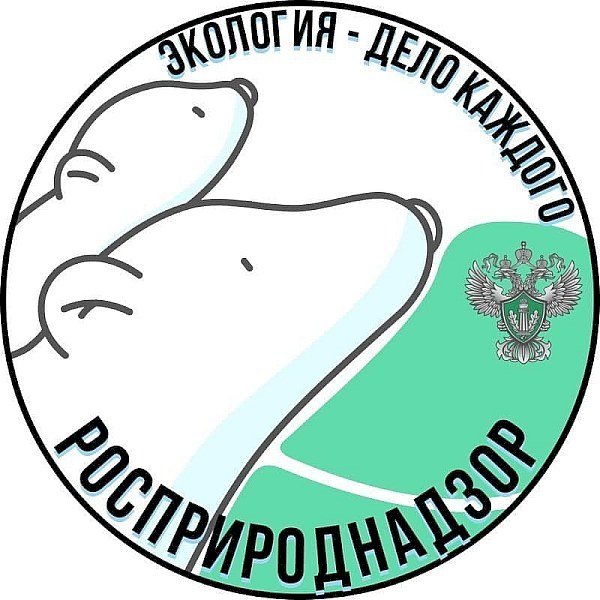 Саратовская область стала первой по количеству поданных заявок на участие в премии «Экология – дело каждого»