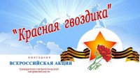 Акция «Красная Гвоздика» 2019. Поможем ветеранам вместе.