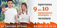 Саратовская область присоединяется к Федеральной информационной противопожарной кампании «Останови огонь!» сезона 2019 года