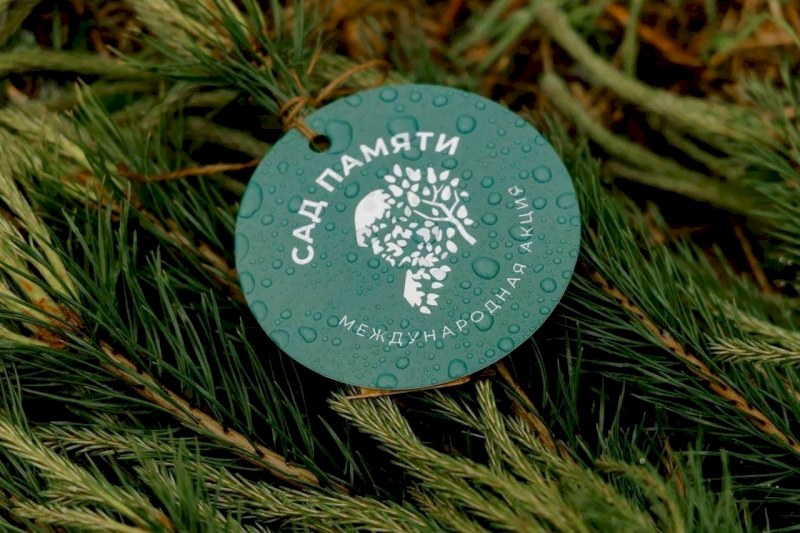 В Энгельсе высадят 100 деревьев в рамках «Сада памяти»