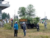 В рамках акция «Вода России» балаковцы убрались на берегу Волги