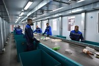 Саратовская область вошла в число эффективно реализующих мусорную реформу в стране