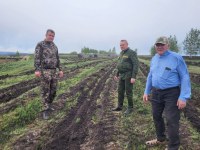 В Саратовской области активно идут лесопосадочные работы