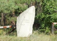 Памятник природы дендрарий имени Василия Дубова в Базарном Карабулаке приведут в порядок