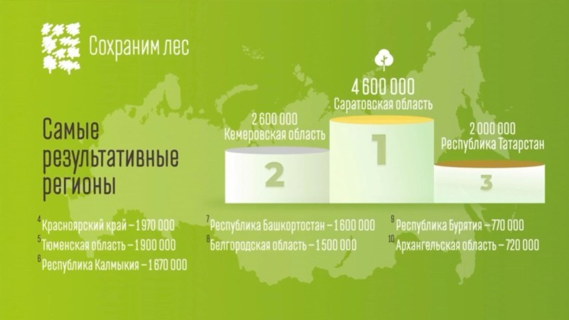 Саратовская область стала победителем акции «Сохраним лес»-2024 