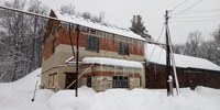 В Саратовской области происходит процесс заготовки семян сосны