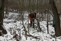 Начаты весенние работы по благоустройству   территории природного парка «Кумысная поляна»