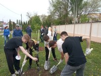 У энгельсского интерната для пожилых людей высадили «Сад памяти»