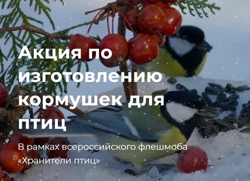 Саратовцев приглашают к участию в конкуре «Хранители птиц»