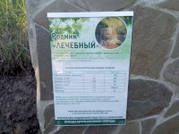 На Кумысной поляне открылся родник «Лечебный»