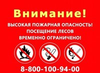 В лесах области проводится усиленное патрулирование с сотрудниками полиции