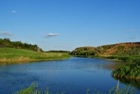 В Саратовской области чистота воды и воздуха в норме