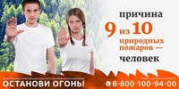 В связи с особым противопожарным режимом в лесах области усилено патрулирование