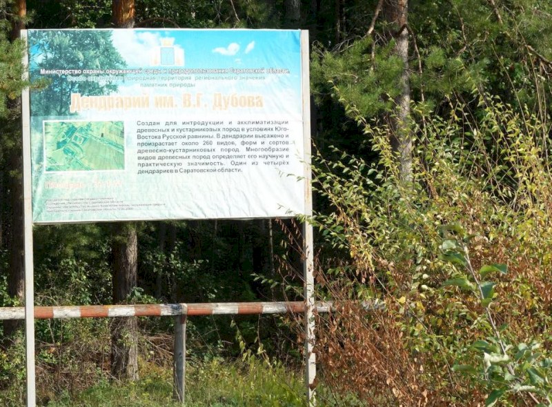 Памятник природы дендрарий имени Василия Дубова в Базарном Карабулаке приведут в порядок