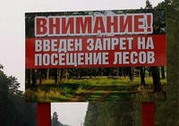 На территории области продолжает действовать режим ограничения пребывания граждан в лесах