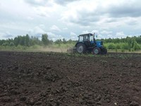 В Саратовской области открыт лесокультурный сезон