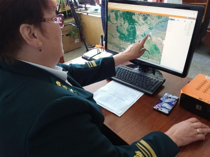 Озвучена дата наступления в лесах Саратовской области пожароопасного сезона