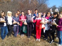 Балашовское школьное лесничество в Год экологии стало призером всероссийского конкурса