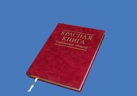 Саратовские школьники рассказали об уникальных представителях «Красной книги»
