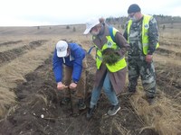 Саратовская область приняла участие в международной акции «Сад Памяти»