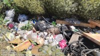 В Саратовской области за 3 года ликвидировали свыше 240 свалок