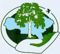 О госуслуге «Прием лесных деклараций и отчетов об использовании лесов»