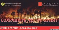 Чрезвычайная пожарная опасность в лесах области сохраняется