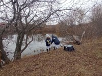 Минприроды и общественный совет обследовали каскад прудов между Соколовым и Жасминным в Саратове