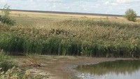 Расчистка водохранилища на реке Еруслан в Федоровском районе начнется в декабре текущего года