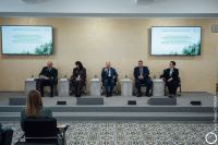 В Саратове подвели итоги работы в области лесных отношений субъектов ПФО
