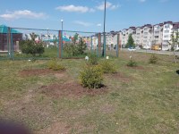 В Марксовском районе пройдет акция «Сад памяти»